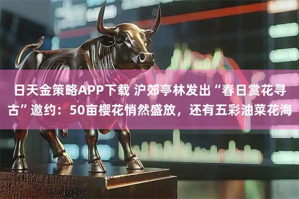 日天金策略APP下载 沪郊亭林发出“春日赏花寻古”邀约：50亩樱花悄然盛放，还有五彩油菜花海