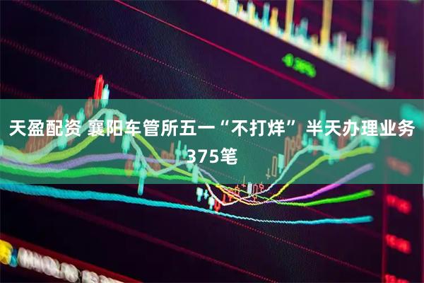 天盈配资 襄阳车管所五一“不打烊” 半天办理业务375笔
